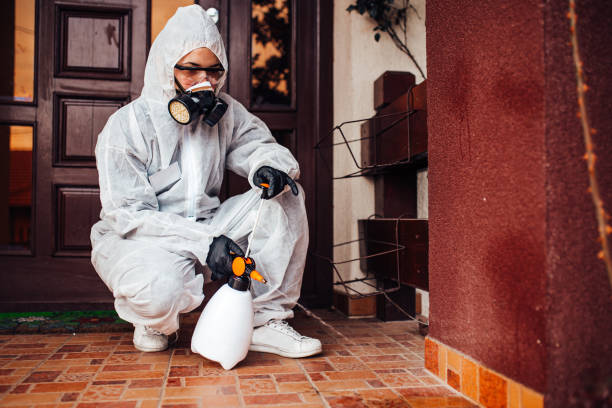 Reliable Cockroach Control contractor in Elba, AL by Nex Pest Control